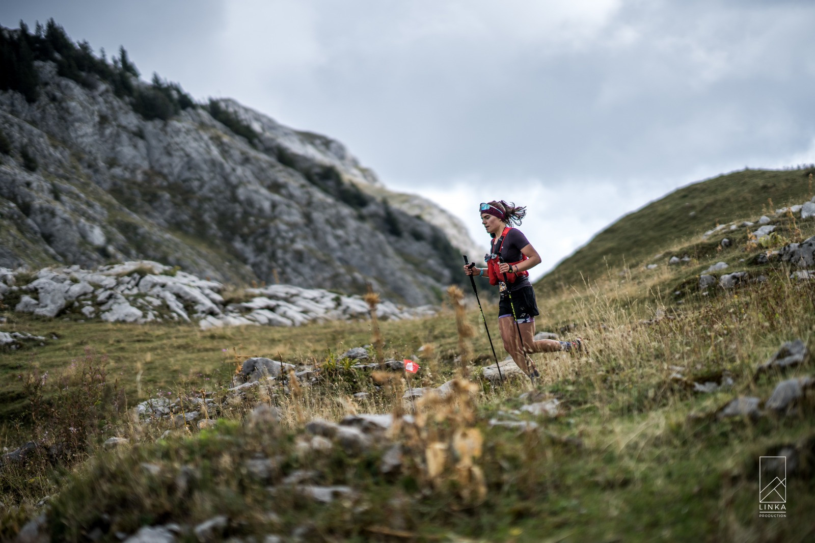 Swiss Peaks Organisation 10