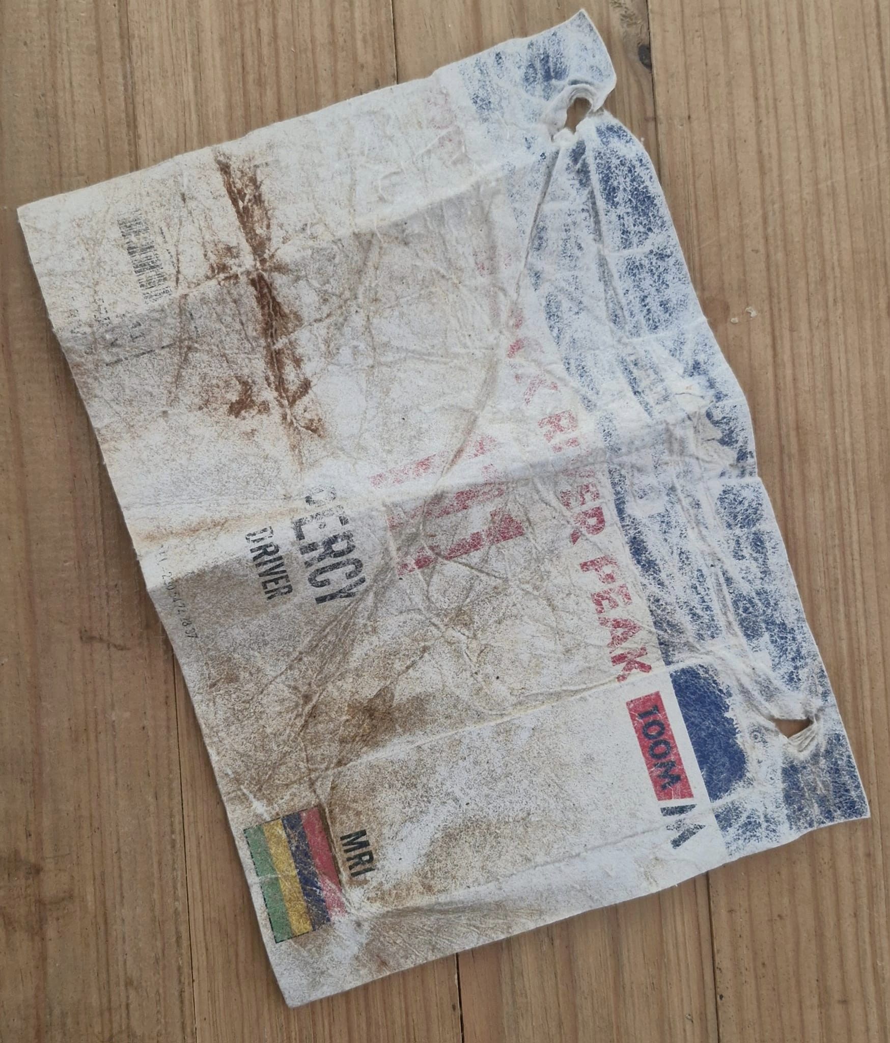 448830206 1000085138783230 4102593163828893079 n