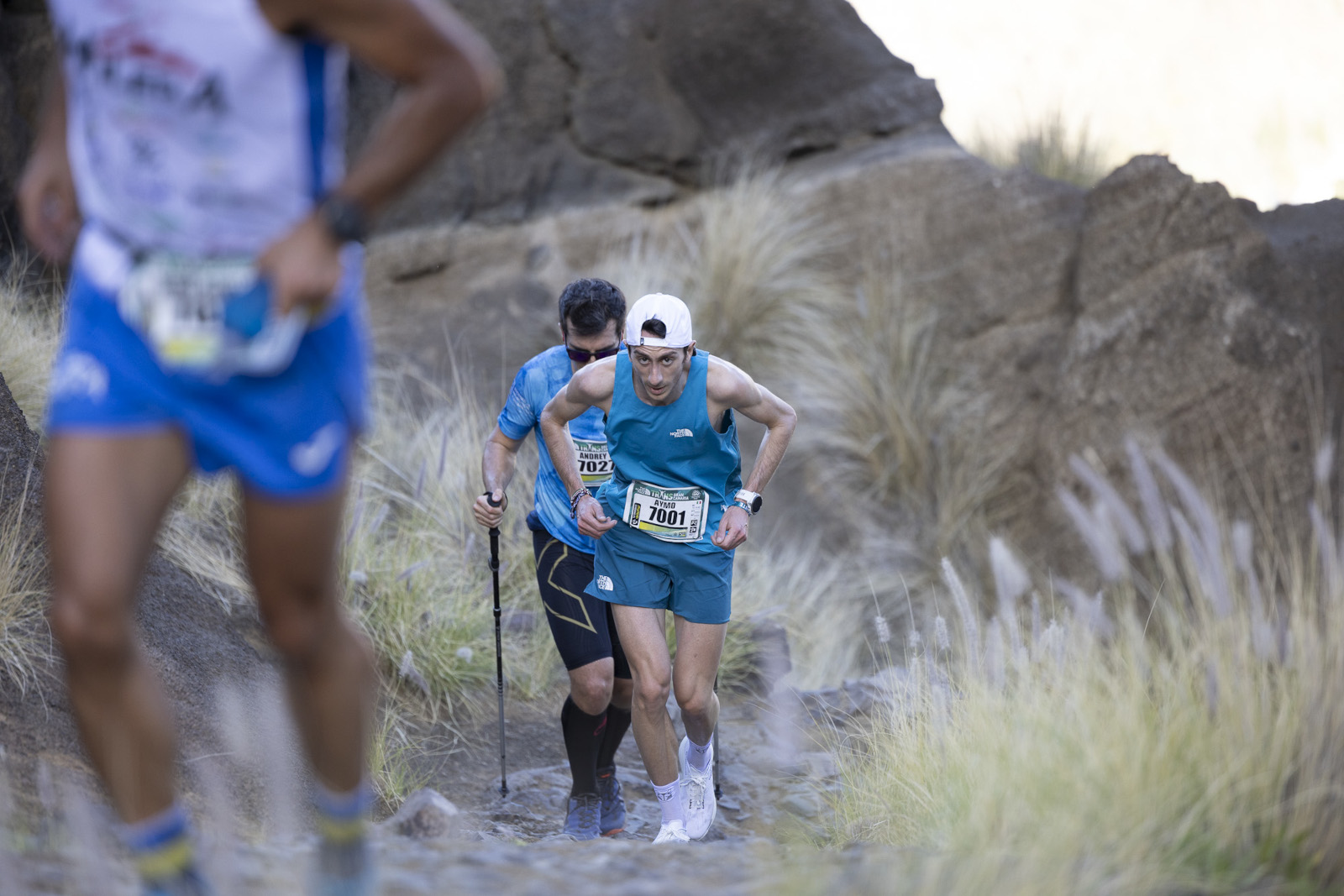 © Carlos Díaz Recio