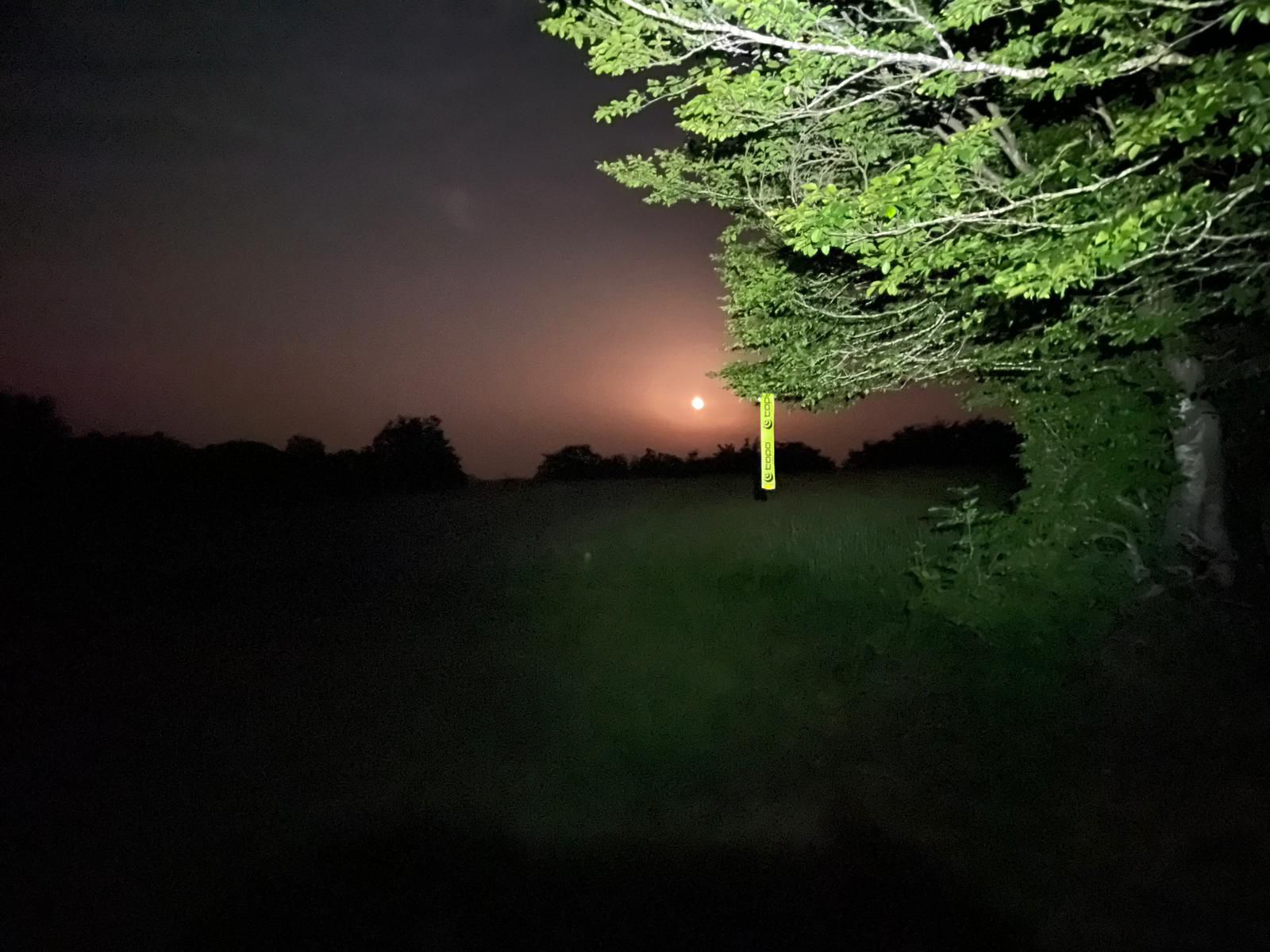 506893929 10238151525956353 3059837400021268898 n