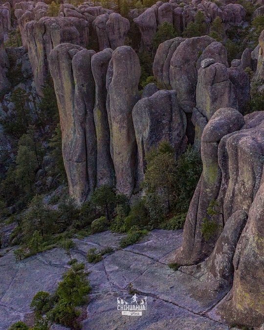 SaveClip.App 526272922 122167272872464745 4098680865226984392 n