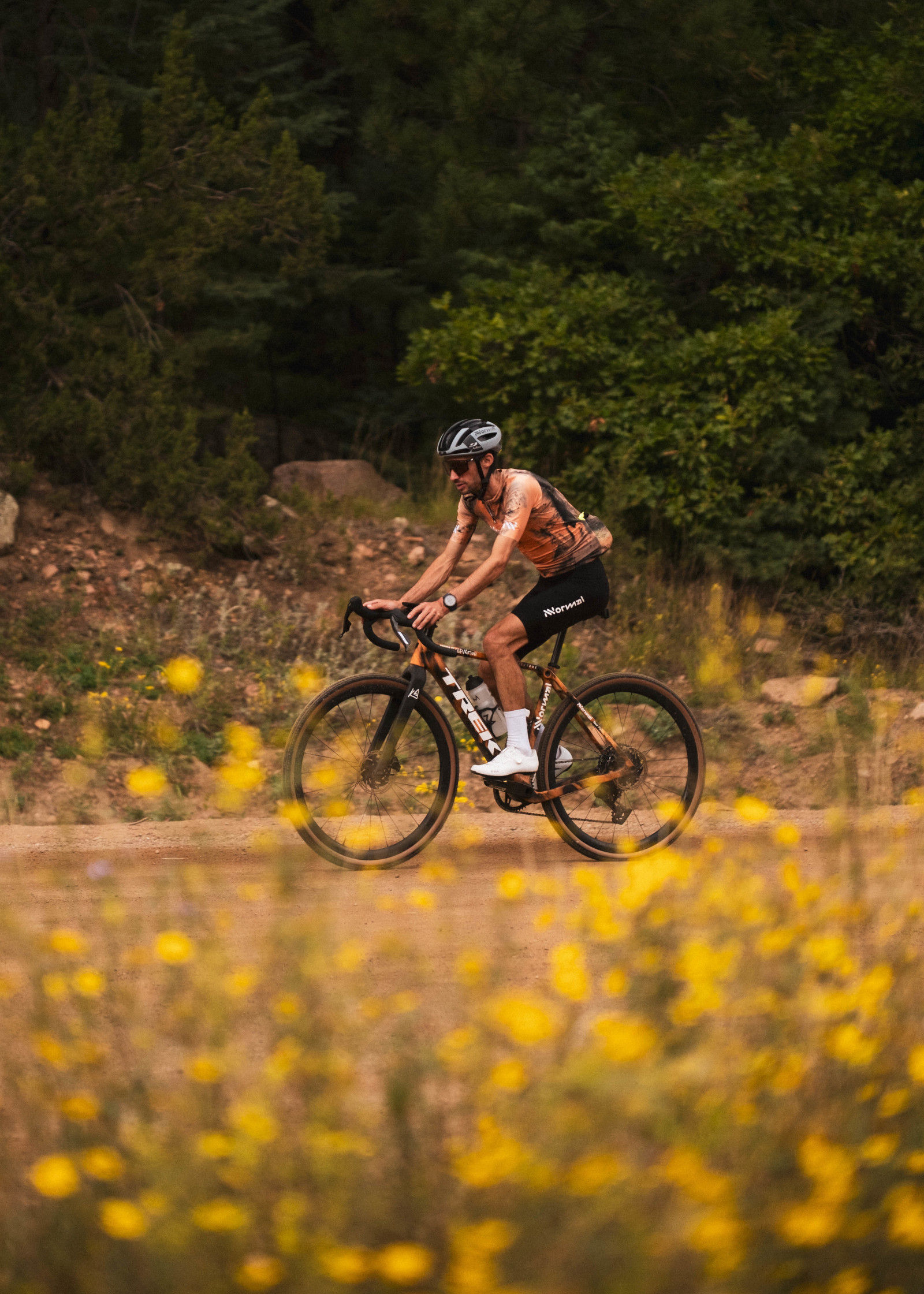 NickDanielsonStatesofElevationStage87