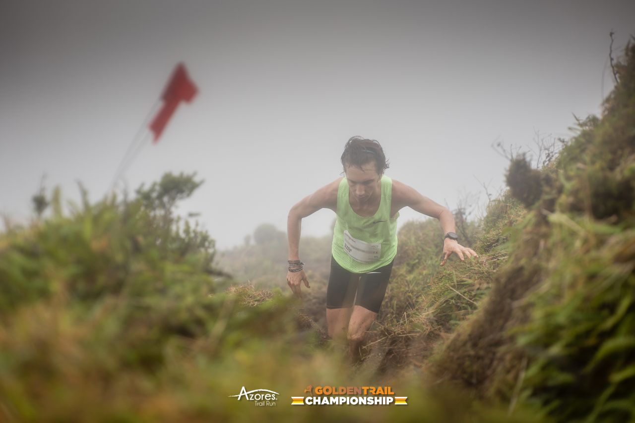 puppi credits Philipp Reiterer (2)